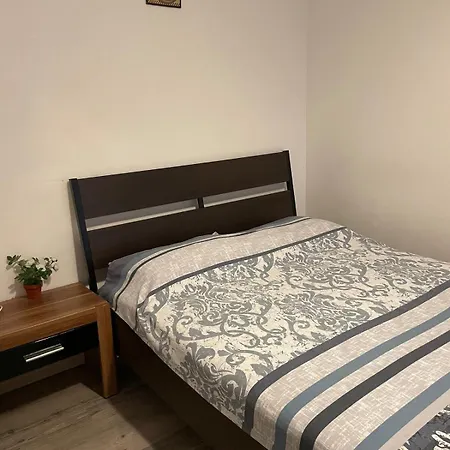Cozy Amzei *